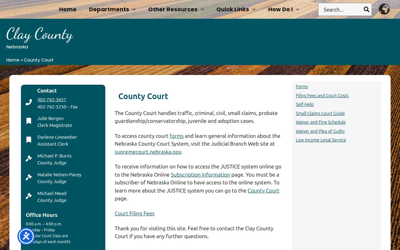 Clay County criminal court cases County Court page